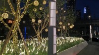 景觀燈-5228826ce05b78598c67a85929602251