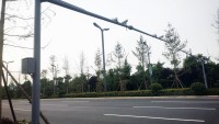 監(jiān)控桿-1dbfb716bbcca2aa824474415106c843